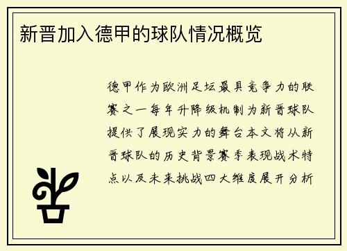 新晋加入德甲的球队情况概览